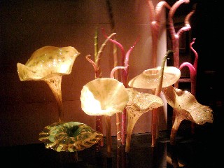 Glasblumen